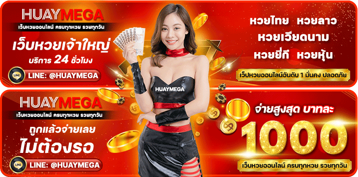 HUAYMEGA